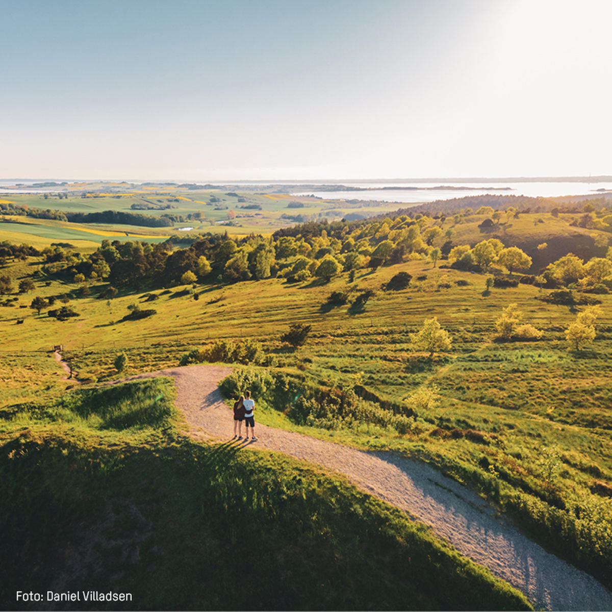 Vandrere står på en bakketop med udsigt over Mols Bjerge i sollys.