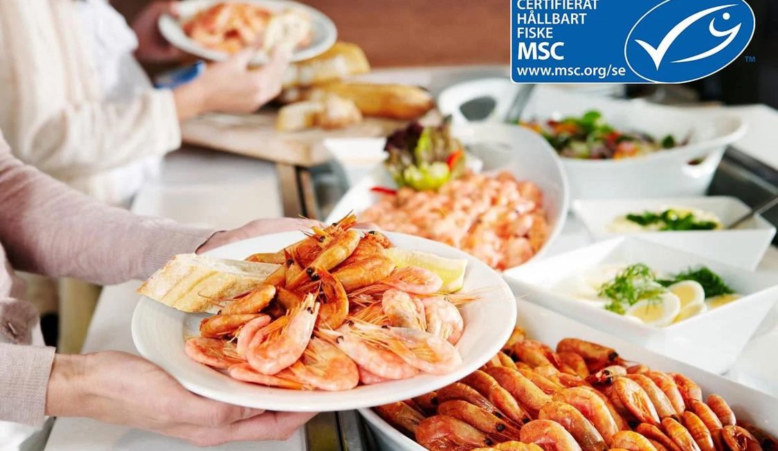 Person serverar färska räkor på en tallrik med bröd och citron på ett MSC-certifierat matställe.