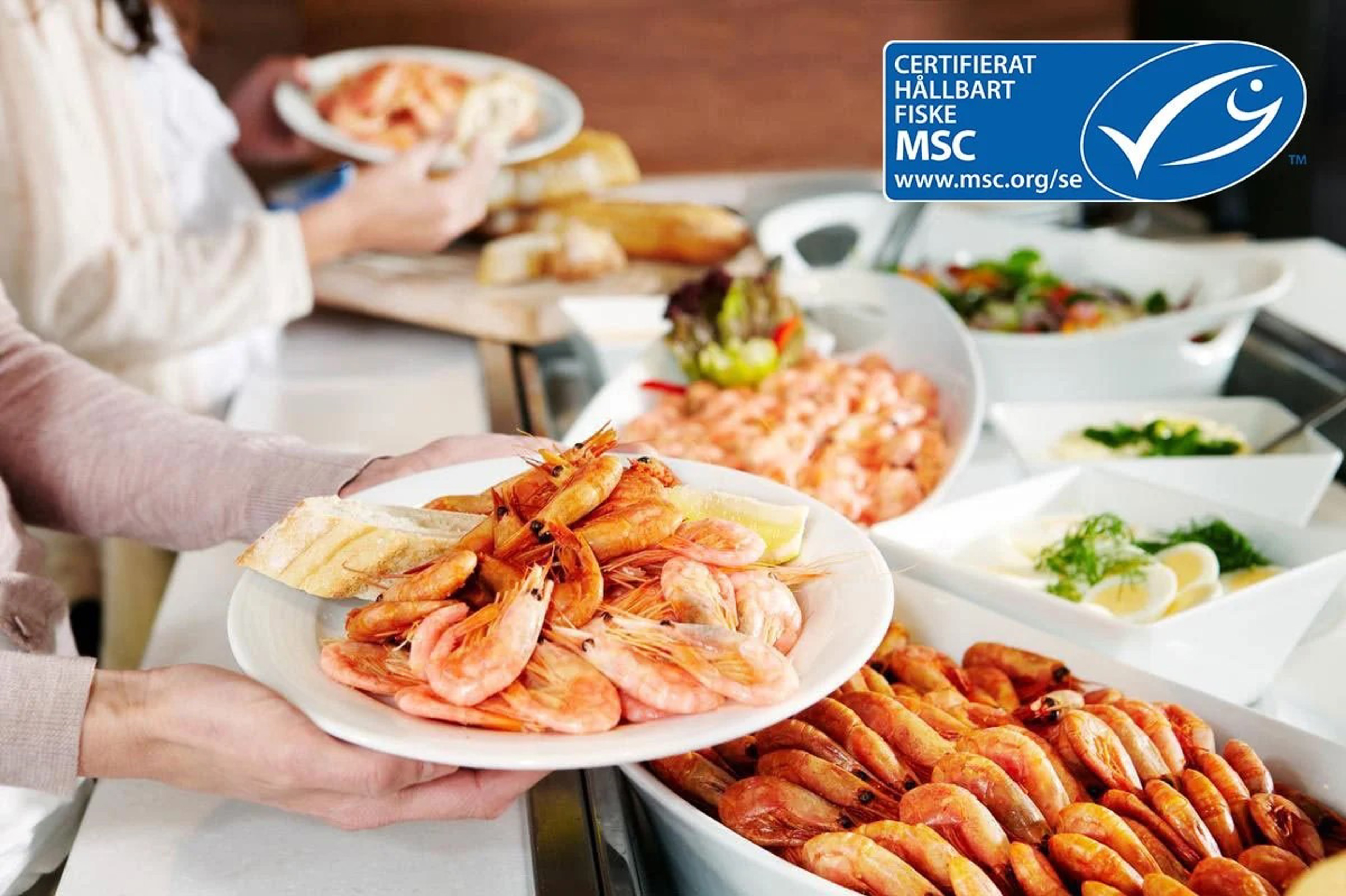 Person serving fresh prawns on a plate with bread and lemon at an MSC-certified dining place.