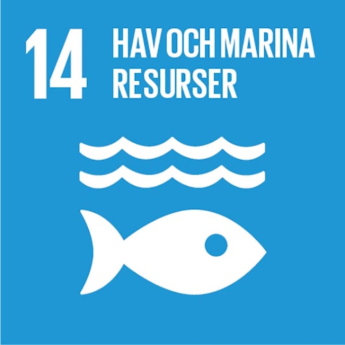 SDG 14-ikonen illustreras med vågor och en fisk.