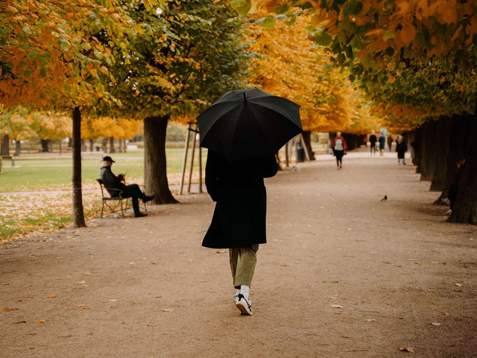 Person promenerar med svart paraply på höstig gångväg, omgiven av träd och fallna löv i en park.
