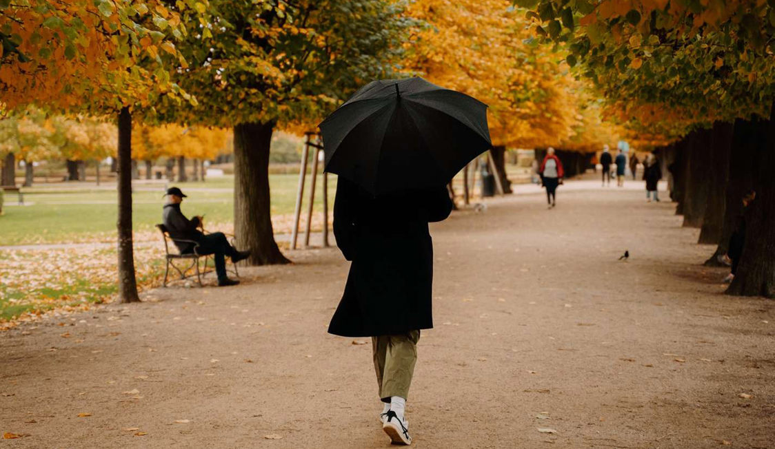 Person promenerar med svart paraply på höstig gångväg, omgiven av träd och fallna löv i en park.