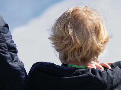 Sort og hvid kat kigger gennem metalhegn i moderne design med vinget klapåbning i centrum af billedet.