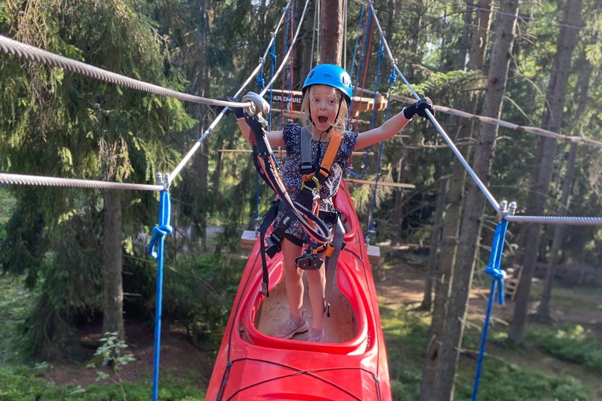 Amerikansk grøn frø siddende på en lav sten ved vandet med tåget spejlbillede i overfladen.
